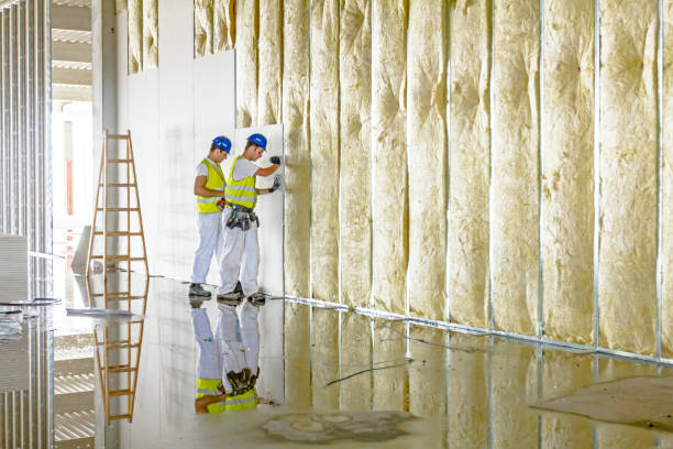 Best Insulation Removal  in Masonville, KY